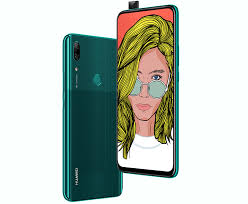 P Smart Z