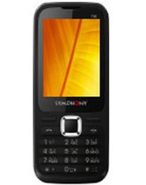 T60
